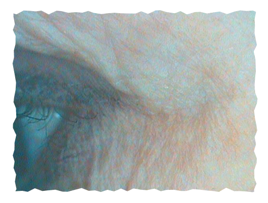 posle-slika-labelage-solutions