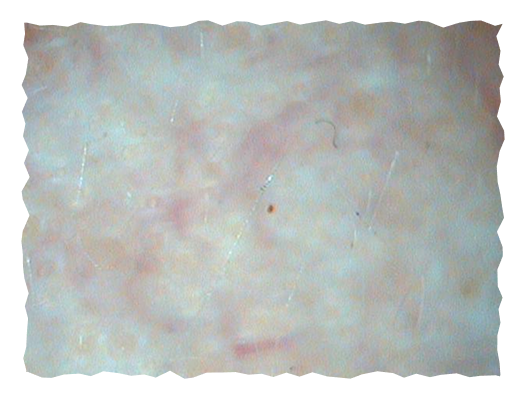 pre-slika-labelage-solutions